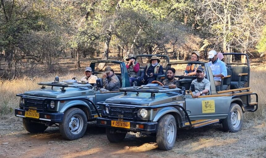 Things to do in Ranthambhore