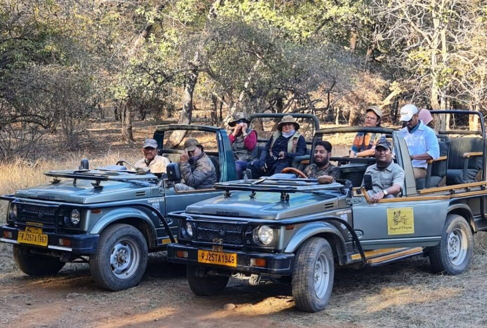 ranthambore safari rules