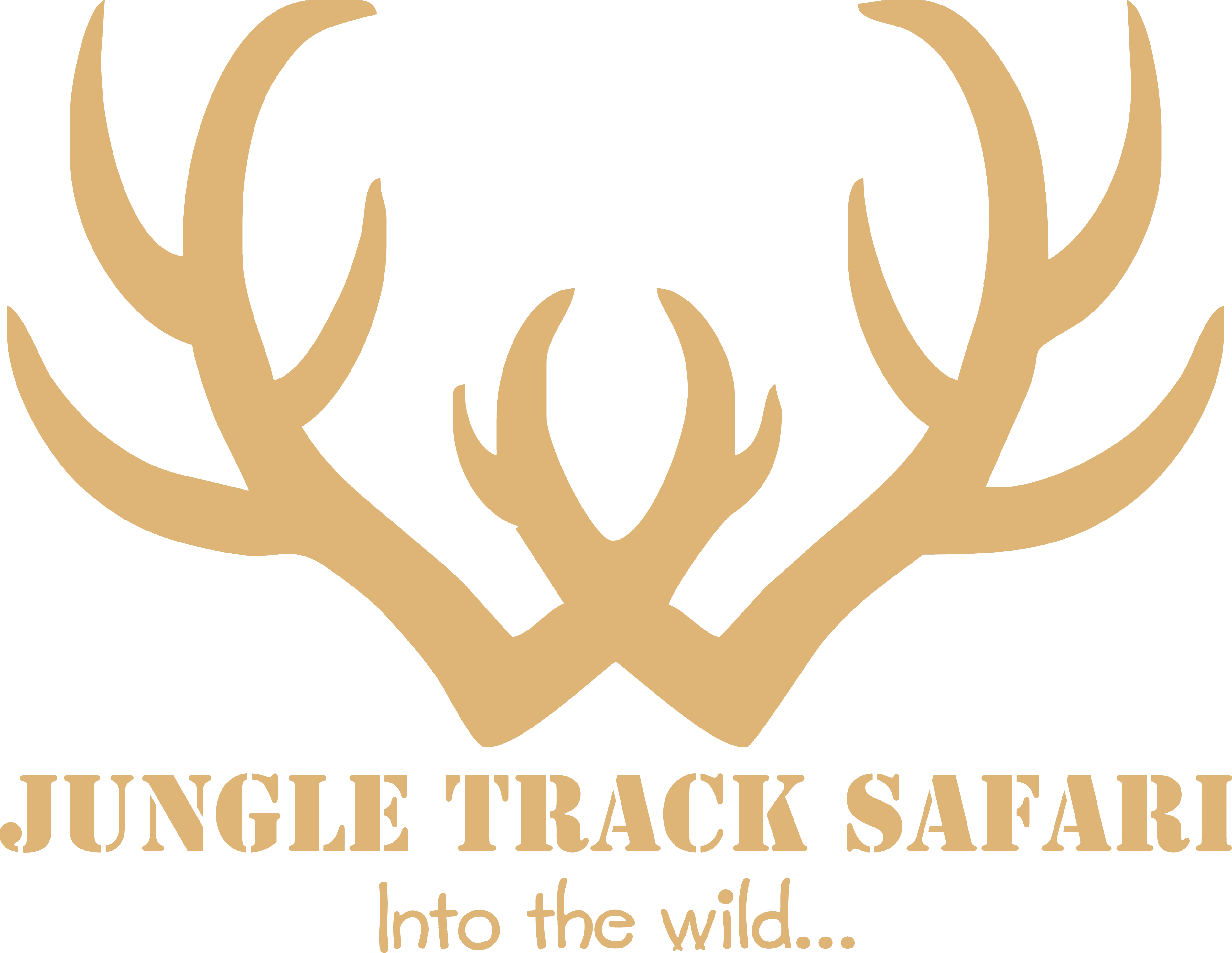 activities-jungle-track-safari